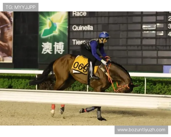 澳博游戏官方地址官方入口指南，详细操作流程与安全保障